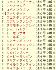 2008 京阪杯 ラップギア 携帯用