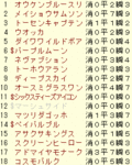 2008 JC ラップギア 携帯用