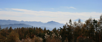 �ѥΥ�޼̿�-1800m���