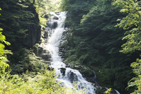 IMG_267025952-2