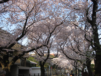 IMG_0404web