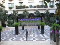 IMG_0683-s
