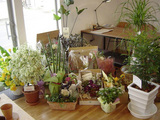 DSC03189