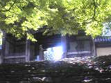 050625_1227~01_001.jpg