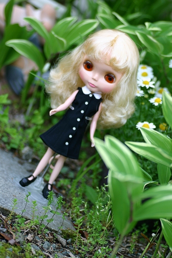 �֥饤�������������