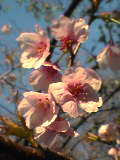 050325_1658~01.jpg