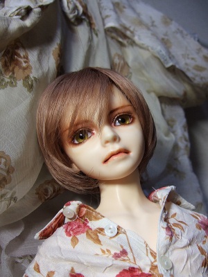 Fuji-oz2
