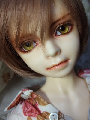 Fuji-oz1