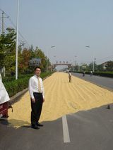 �䡹��ƻ�褤�ʤȤ�����ƻ�ξ�ˤ�³���Ȥ���������η��졩