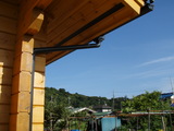 �������鸫���Ķ�