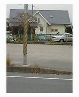 e20faf05.jpg