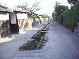60d2356f.JPG