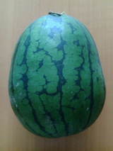 cc18f2d6.jpg