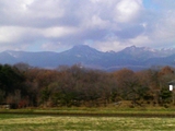 nasu