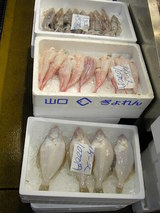 唐戸市場 お魚がとっても安いです