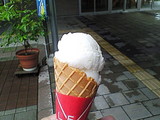 �ӥ����������� �ɤ֤���������