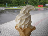 �ۥ륹�����󤷤ܤꤿ�Ƶ���100%���꥽�եȥ��꡼��
