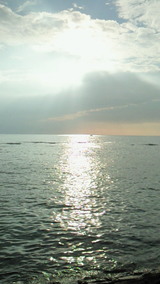 4c3f6c38.jpg