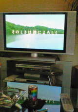 DVD��