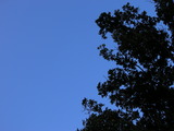 f4a902d7.jpg