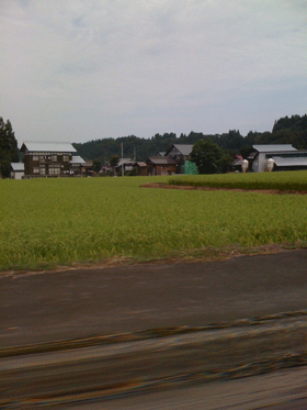 niigata
