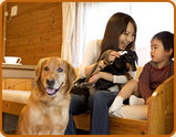 犬 宿