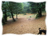 Pension&DogGarden