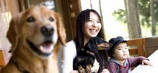 犬 宿