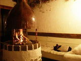 Pension&DogGarden