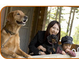 犬 宿