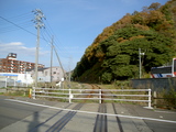 37f2b7f8.JPG