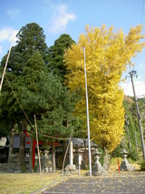 78098e57.JPG
