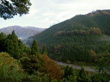 c1206b87.JPG