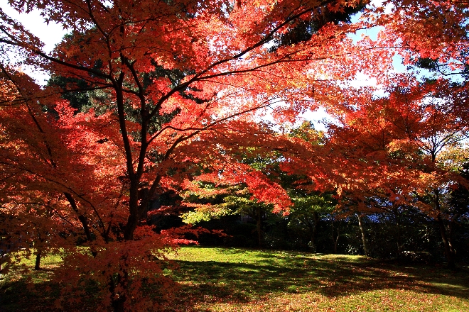 三千院庭2