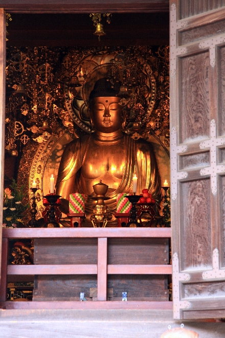知恩院5