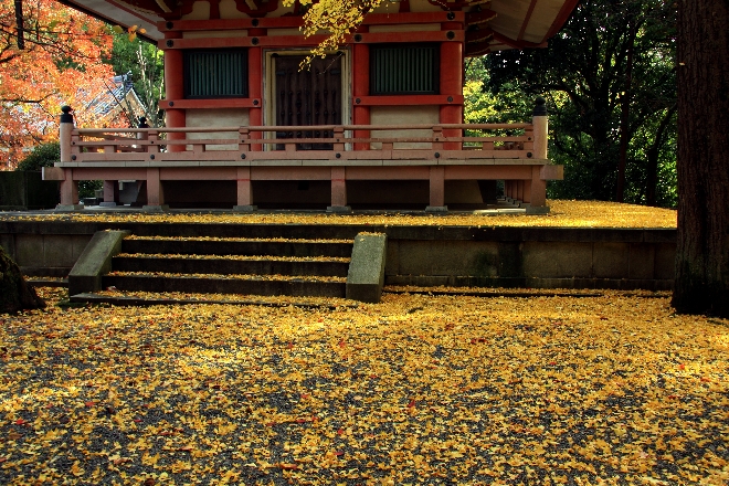 知恩院2