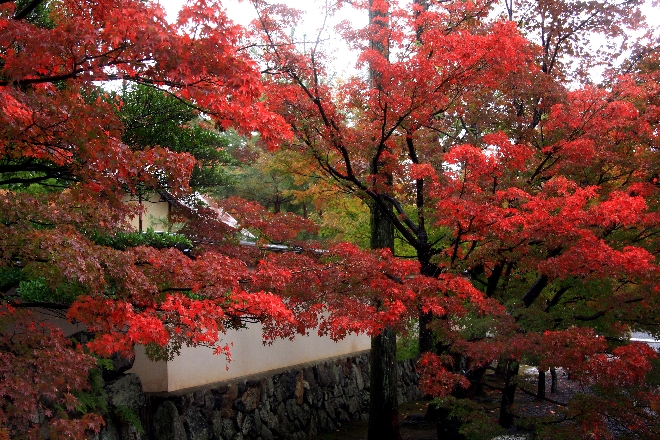 天龍寺1