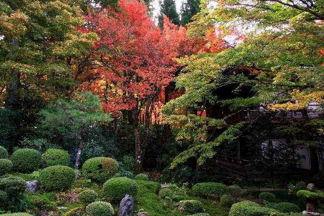 三千院庭3