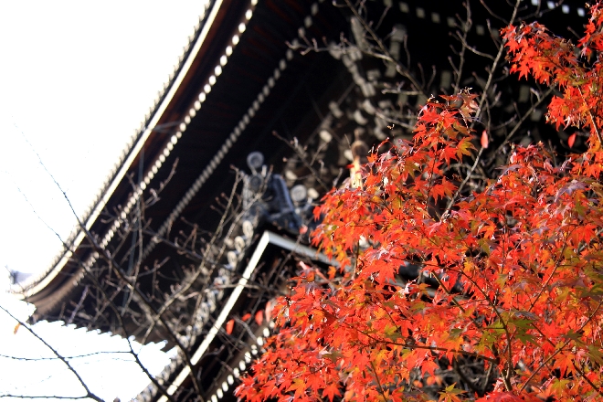 知恩院4