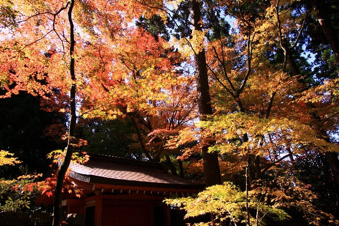 三千院庭1