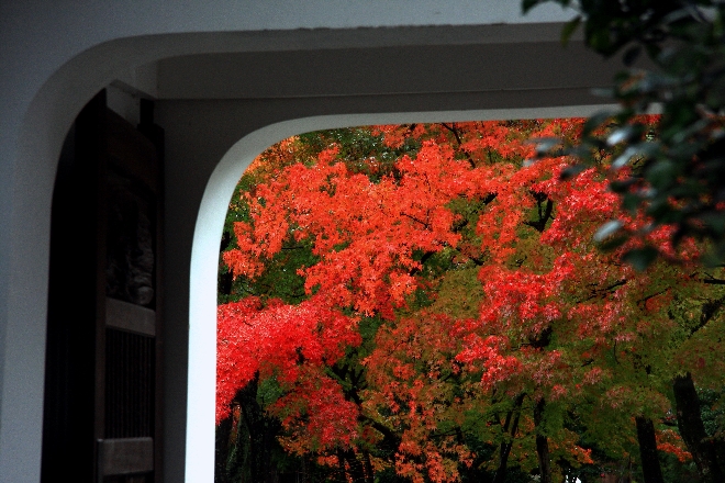 天龍寺2