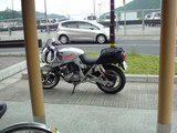 kokatana