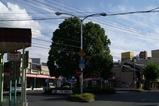 090913_007