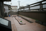 0168d0e3.JPG