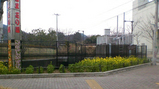 c38f66e7.JPG