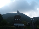 amida