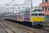EF81_018