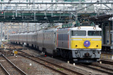 EF81_019