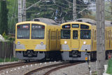 rapidexp_001