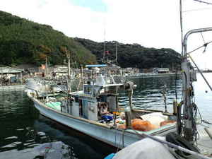 12e14219.jpg
